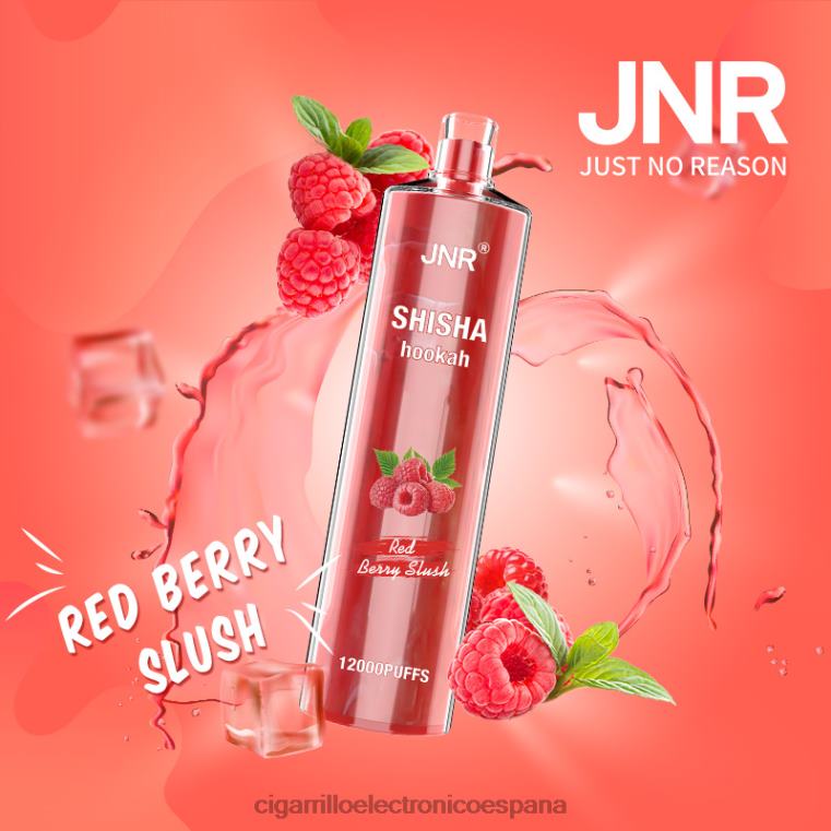 Cigarrillo Electrónico Con Nicotina - granizado de frutos rojos 6VL06687 JNR SHISHA