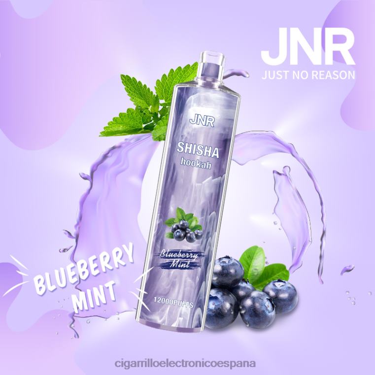 Cigarrillo Electrónico Iqos - menta de arándanos 6VL06672 JNR SHISHA