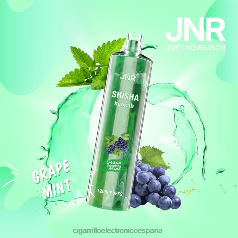 Cigarrillo Electrónico Marcas - menta de uva 6VL06678 JNR SHISHA