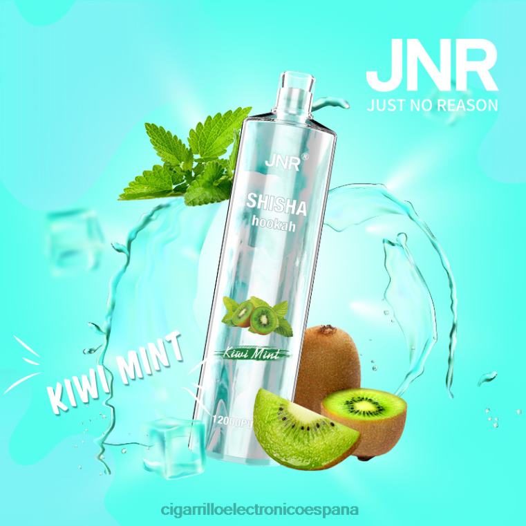 Cigarrillo Electrónico Recargable - menta kiwi 6VL06681 JNR SHISHA
